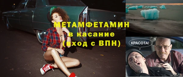 прущие грибы Дедовск
