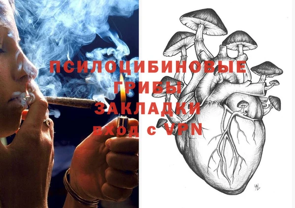 бошки Заволжье