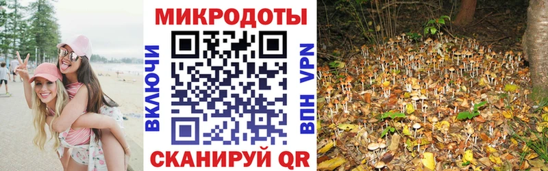 что такое наркотик  Змеиногорск  KRAKEN зеркало  Галлюциногенные грибы прущие грибы 
